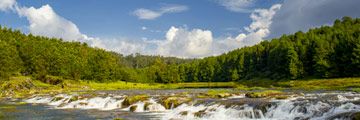 Ooty