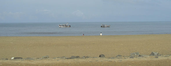 Hotels in Calicut: Book Kozhikode Hotels from Travelguru. Check Calicut Vacations & Calicut Holidays and get the best deal