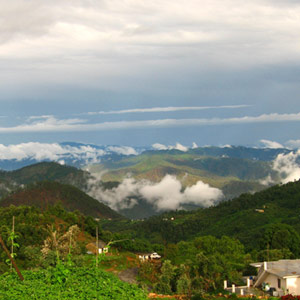 Almora - Editor's Note
